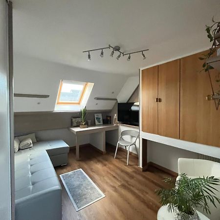 Appartement Type Loft Avec Terrasse 셰르부르 앙 코탱탕 외부 사진
